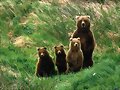 FAMILIA NUMEROSA