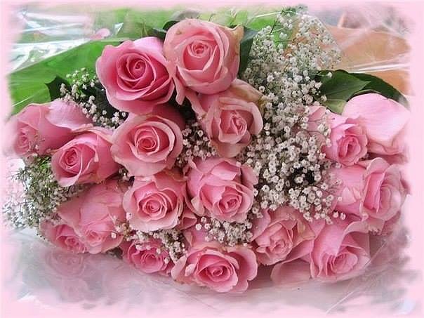 FLORES