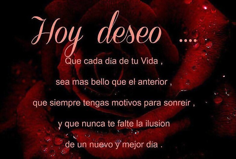 FELIZ DIA