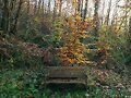 OTO&Ntilde;O-INVIERNO