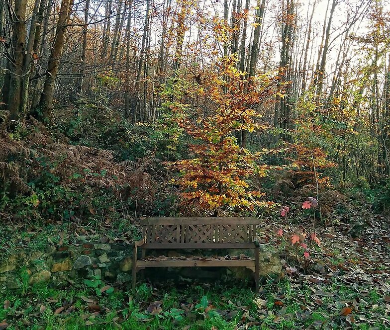 OTOÑO-INVIERNO