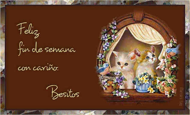 FELIZ FIN DE SEMANA