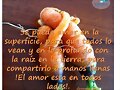 FRASES QUE ME GUSTAN