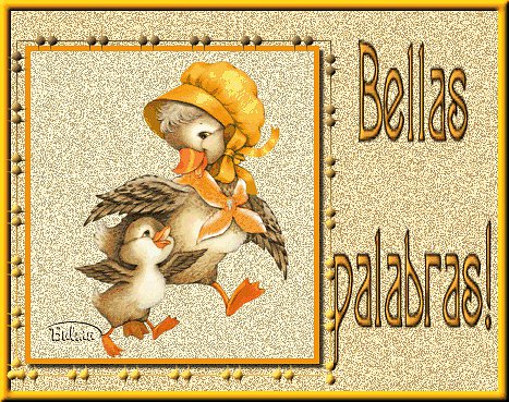 BELLAS PALABRAS, MAPI