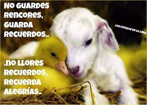 BUEN VIERNES