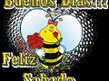 FELIZ SABADO