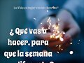 FELIZ INICIO DE SEMANA