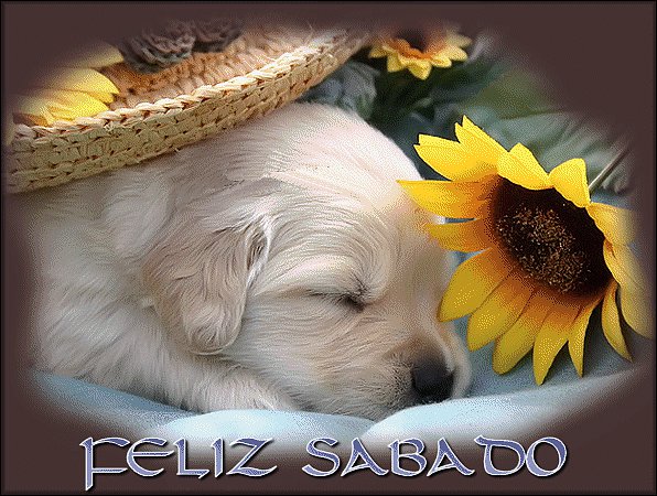 FELIZ SABADO (AQUI LLUEVE)