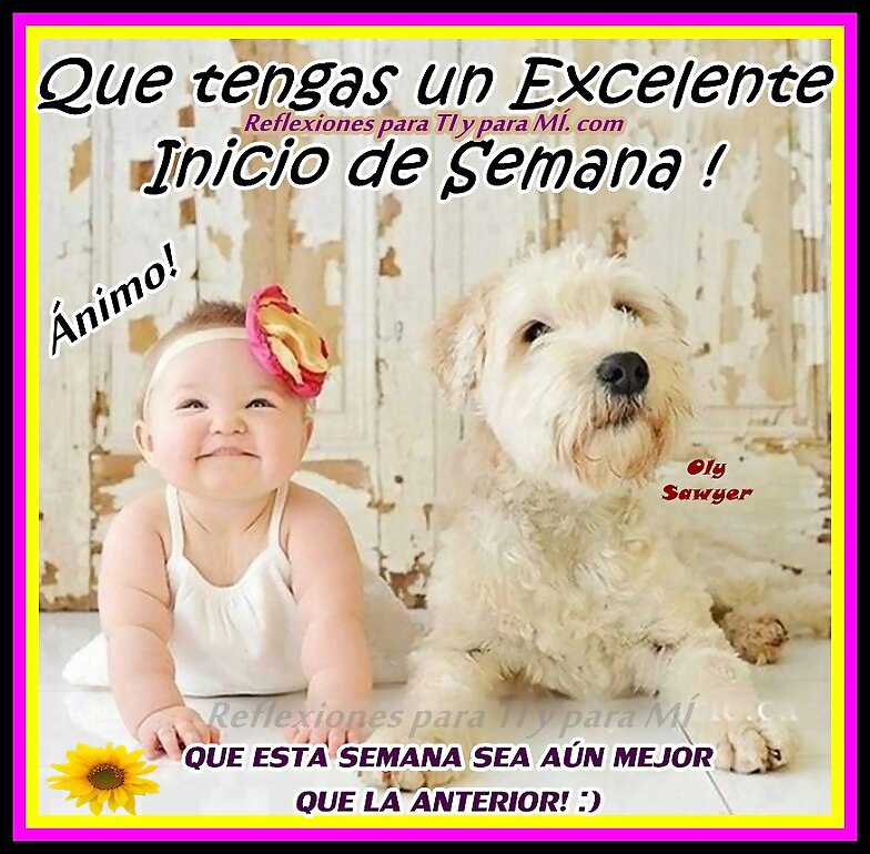 FELIZ SEMANA
