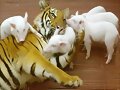 FAMILIA NUMEROSA (PERO NO SON DE LA MISMA ESPECIE)