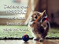 BUENOS DIAS