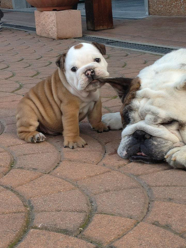 FOTO CON MI MAMA