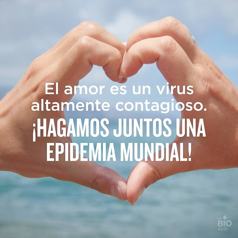 FELIZ LUNES