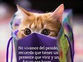 FRASES QUE ME GUSTAN