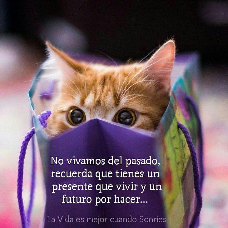 FRASES QUE ME GUSTAN