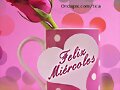 FELIZ MIERCOLES
