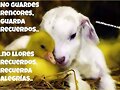FRASES QUE ME GUSTAN