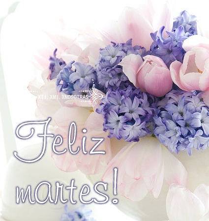 FELIZ MARTES