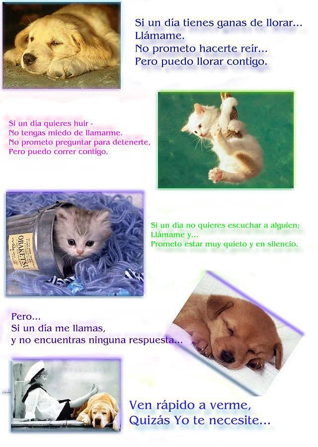 AMISTAD