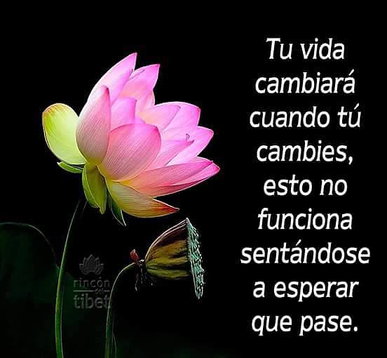 FELIZ VIERNES