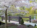 FOTO GUAPA (PRIMAVERA)