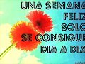 FELIZ LUNES