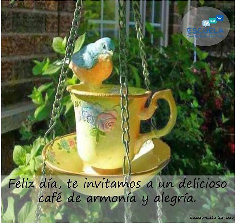 FELIZ MARTES