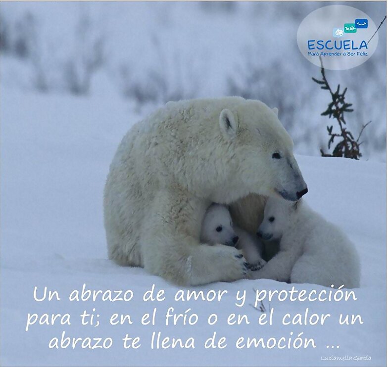 ABRAZOS