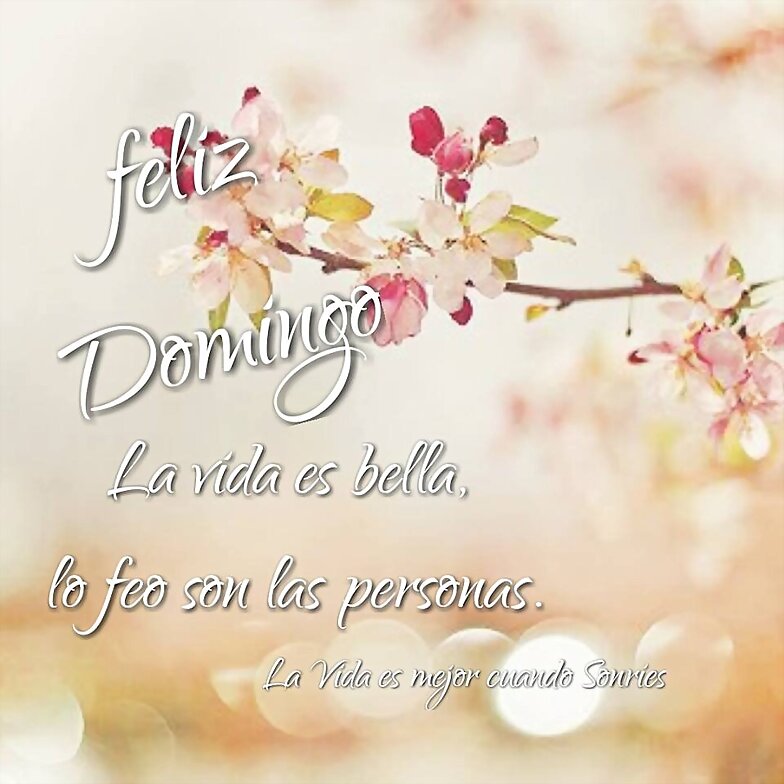 FELIZ DOMINGO... MUY CALUROSO POR AQUI
