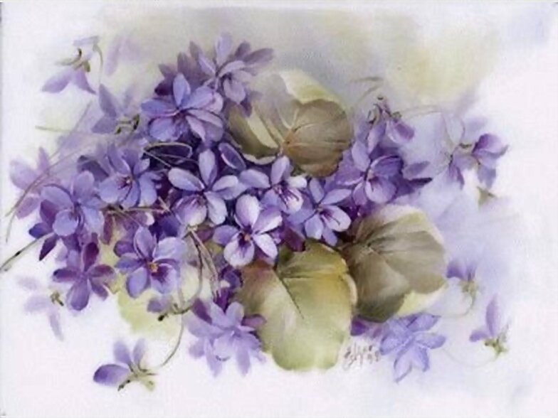 FLORES
