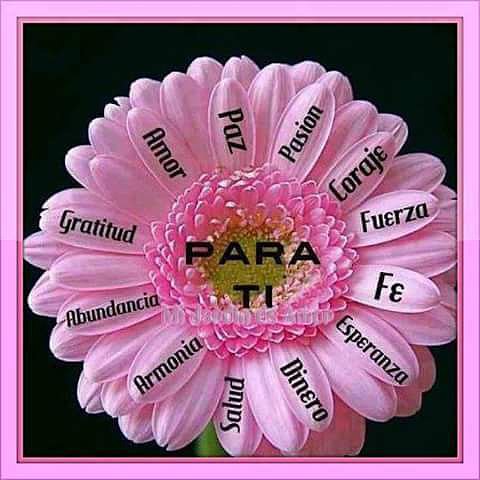 PARA LOS AMIGOS