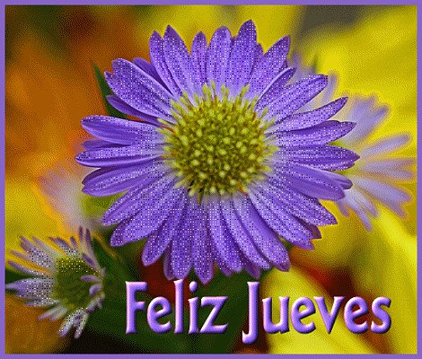 FELIZ JUEVES