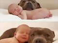 NI&Ntilde;O Y ANIMALICO