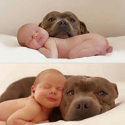NIÑO Y ANIMALICO