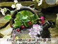 BUENAS TARDES