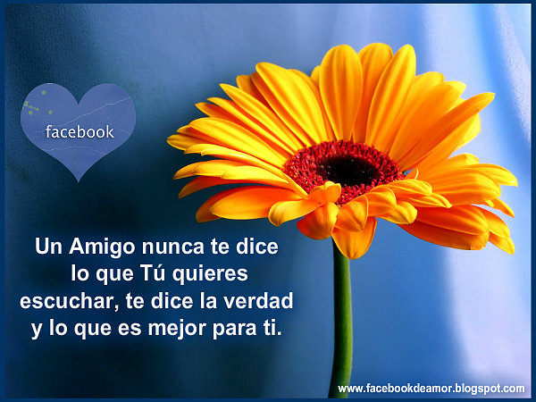 AMISTAD