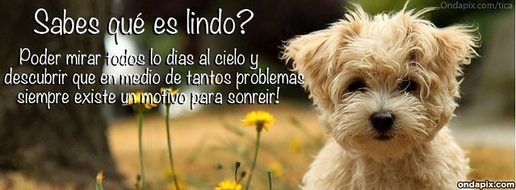 ¿HAS SONREIDO HOY?