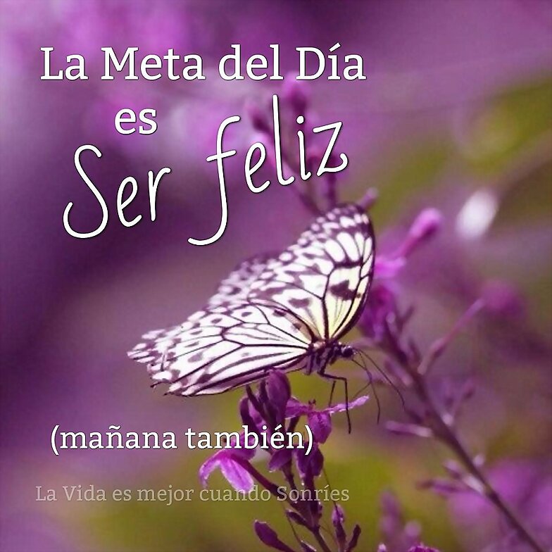 BUEN DIA Y SE FELIZ!