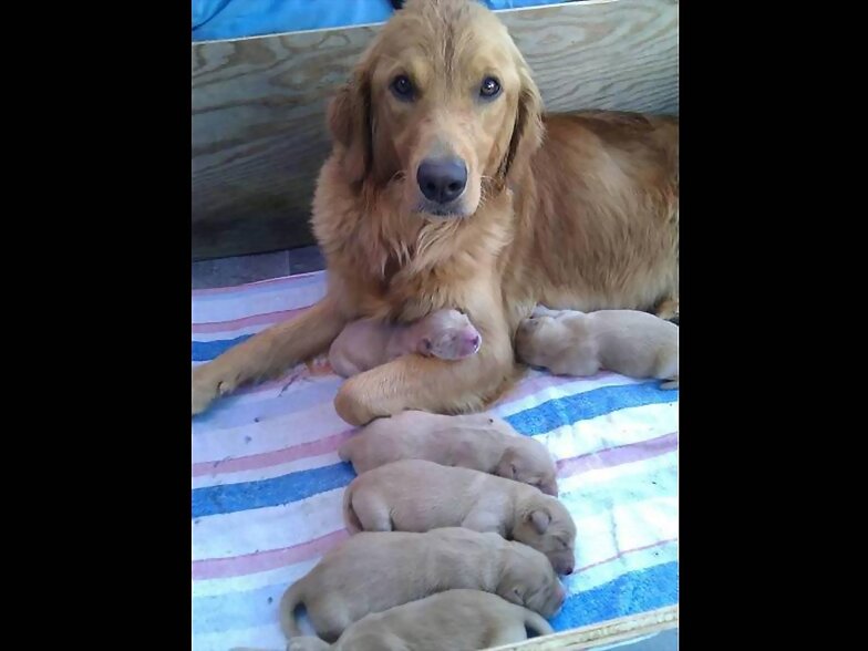FOTOS CON MI MAMA