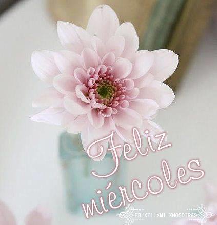 FELIZ MIERCOLES