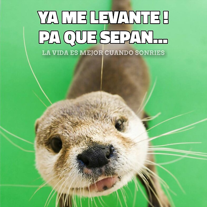 FELIZ LUNES CON LLUVIA