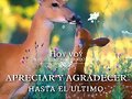 FELIZ MIERCOLES