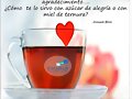 FELIZ MARTES