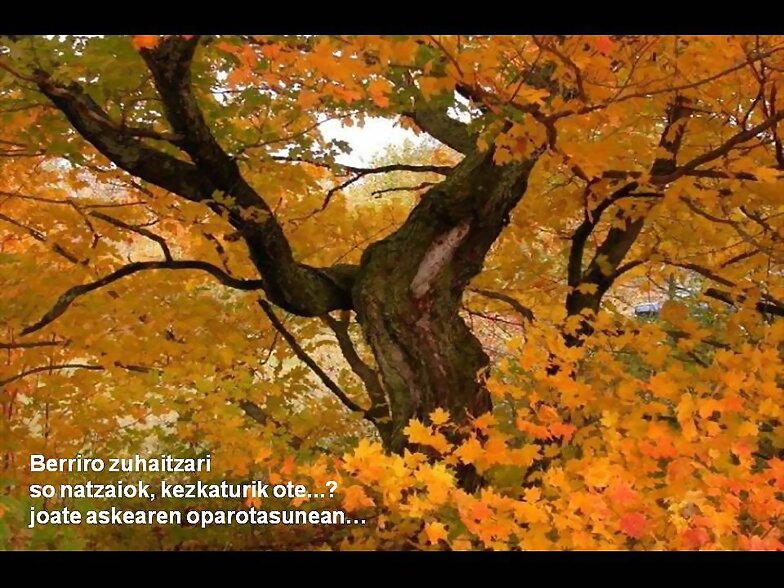 BIENVENIDO OTOÑO