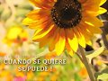 FELIZ SABADO