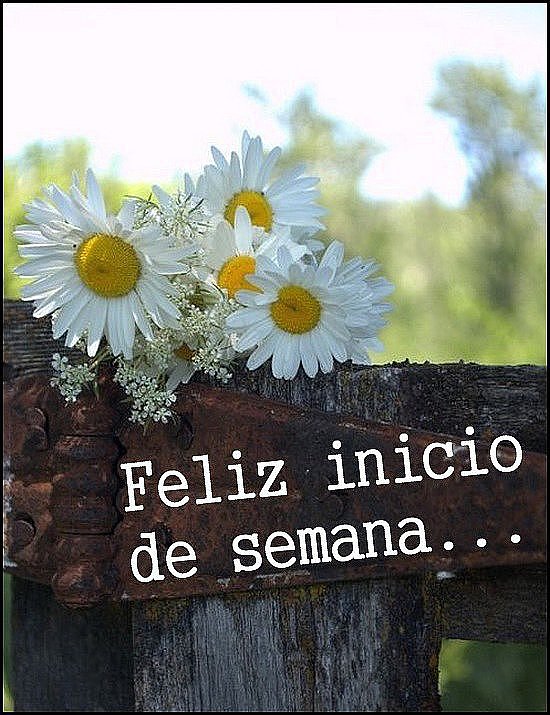 FELIZ LUNES