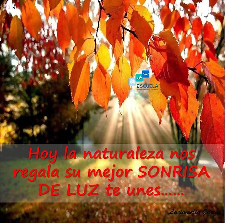 SONRIE