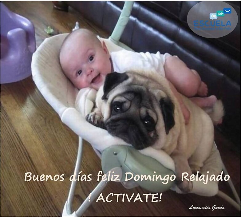 FELIZ DOMINGO