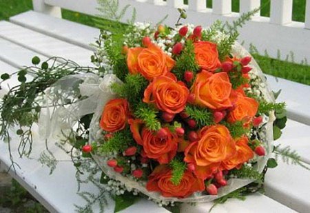FLORES