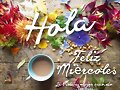 FELIZ MIERCOLES